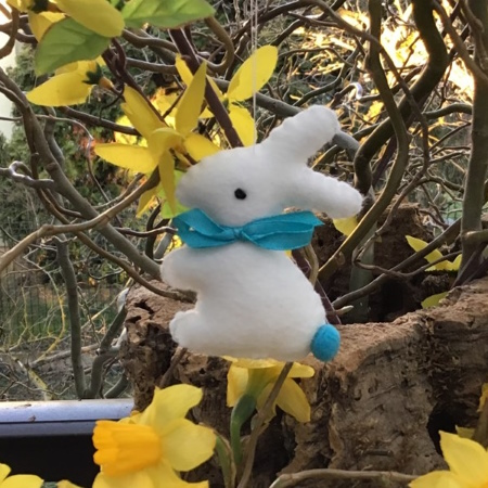 Lapin bleu