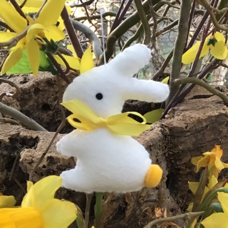 Lapin jaune
