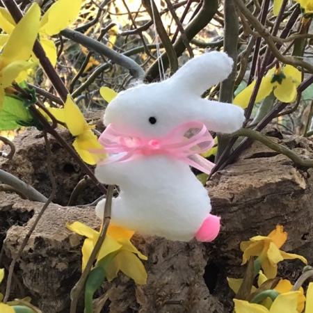 Lapin rose