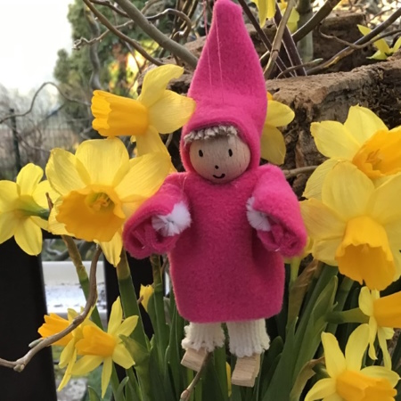 Lutin rose